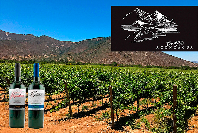 La Viña Borderío Aconcagua presenta sus dos primeros vinos de excelencia
